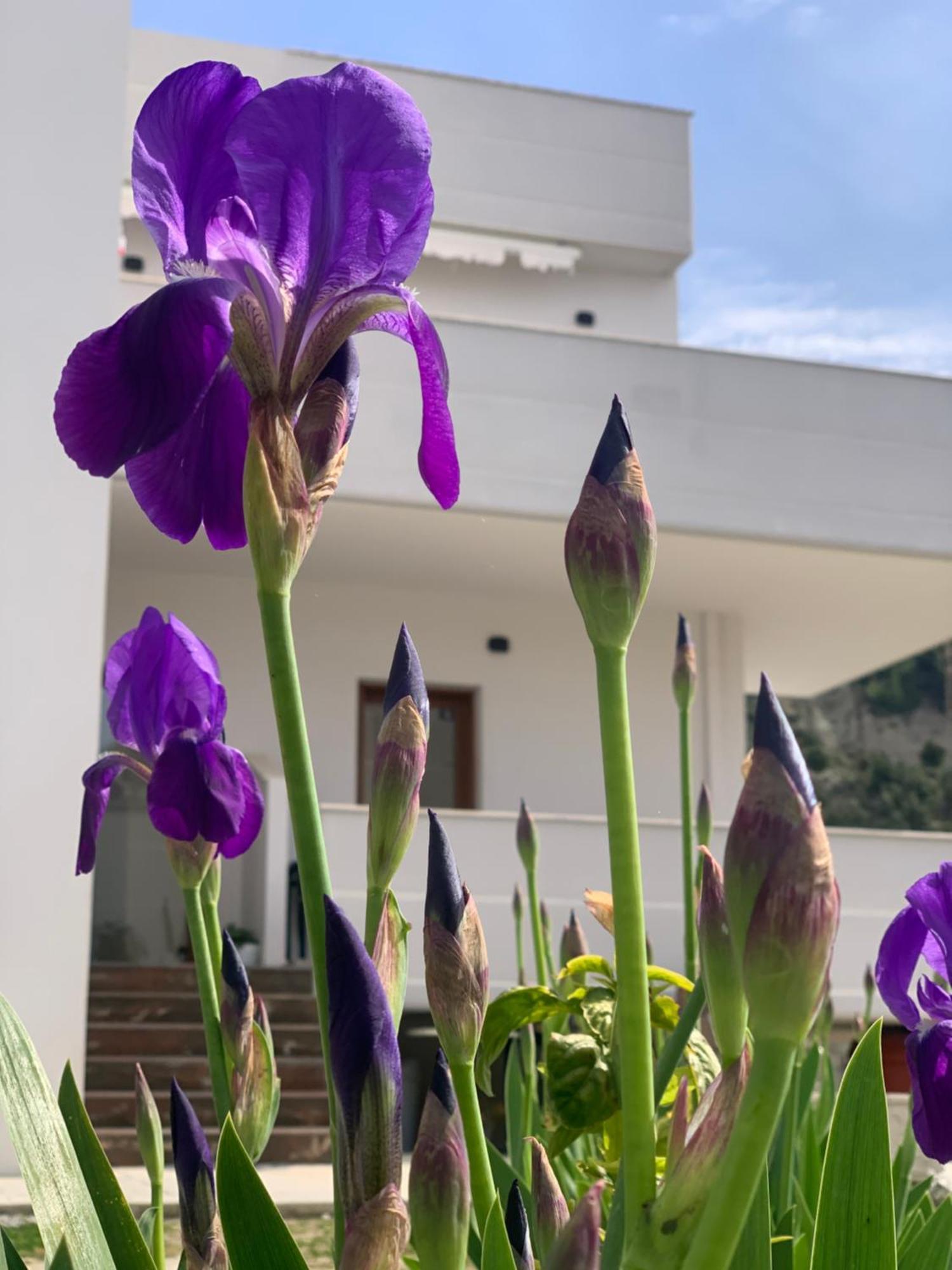 Villa Rreze Dielli Vlore Bagian luar foto